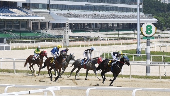 21일 경기도 과천시 렛츠런파크 서울에서 코로나19의 확산을 막기 위해 중단되었던 경마 경기가 진행되고 있다. 한국마사회는 중단됐던 경마를 지난 19일 부산·경남을 시작으로 서울, 제주 등에서 무관중으로 재개했다고 밝혔다. 2020.6.21 오장환 기자 5zzang@seoul.co.kr