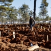 ‘집단 무덤’ 튀르키예 사망자 日 넘어…20만명 아직 잔해 밑에 [포착]
