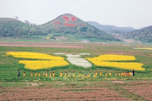 인구 100만 vs 3만, 곳간도 양극화… 작은 도시일수록 뭉쳐야 산다 [마강래의 함께 살아가는 땅]