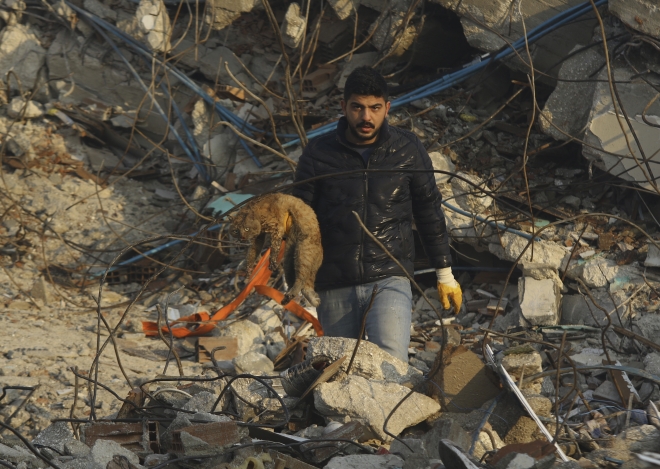 무너진 튀르키예 건물 잔해서 구조된 고양이
