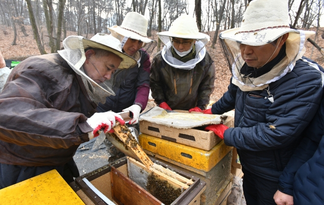 양봉 전문가가 지난 7일 서울 노원구 주민을 대상으로 도시 양봉 시연 강의를 진행하는 모습. 노원구 제공