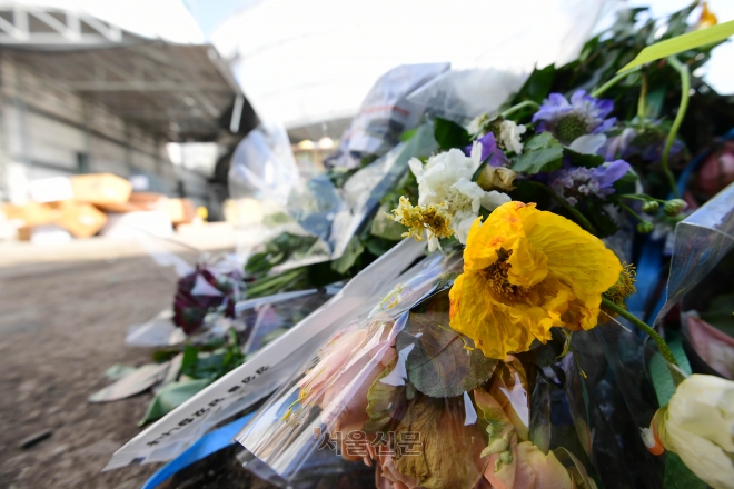 14일 서울의 한 꽃시장 뒤편 쓰레기장에 팔리지 못하고 시들어버린 꽃이 버려져 있다.  홍윤기 기자