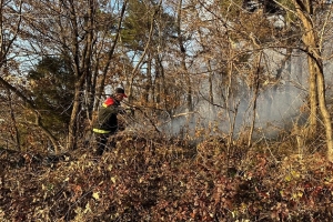 광양서 산장 화재, 산불로 번져… 2시간만에 진화