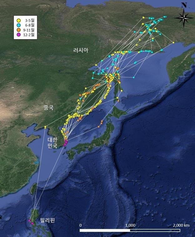국립생물자원관이 동아시아 붉은부리갈매기의 사계절 이동경로를 세계 최초로 확인했다. 국립생물자원관