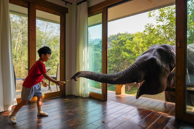 인간과 코끼리의 공존을 위해 마련한 코끼리 케어 프로그램은 아이뿐만 아니라 어른에게도 특별한 경험을 준다. 코끼리가 잠을 깨워 주는 코끼리 모닝콜 프로그램도 있다. 권다현 작가 제공