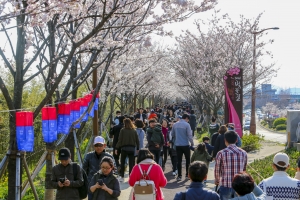 4년 만에 ‘거리두기’ 없는 봄…전국 곳곳 축제