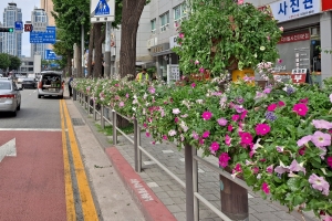 ‘사계절 활짝’… 동작, 봄맞이 꽃길 조성