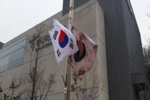 은평 거리마다 휘날린 ‘애국 꽃’
