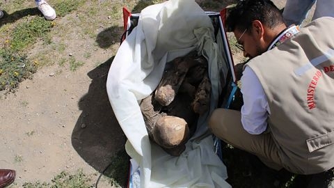 보냉가방에서 발견된 고대 미라. 페루 분화부