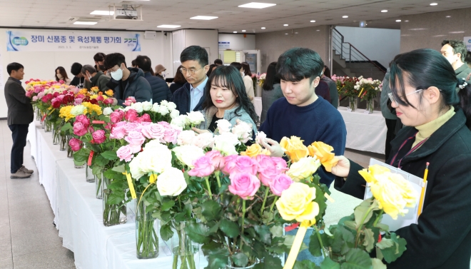 3일 경기농업기술원 농업과학연구관에서 장미 재배농가, 유통관계관, 종묘업체 등 50여명이 참석한 가운데 열린 ‘장미 신품종 및 유망계통 평가회’ 장면.  경기농업기술원 제공
