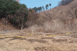 10년간 돼지똥 도맡아 치운 직원 죽자 야산에 버린 농장주 구속