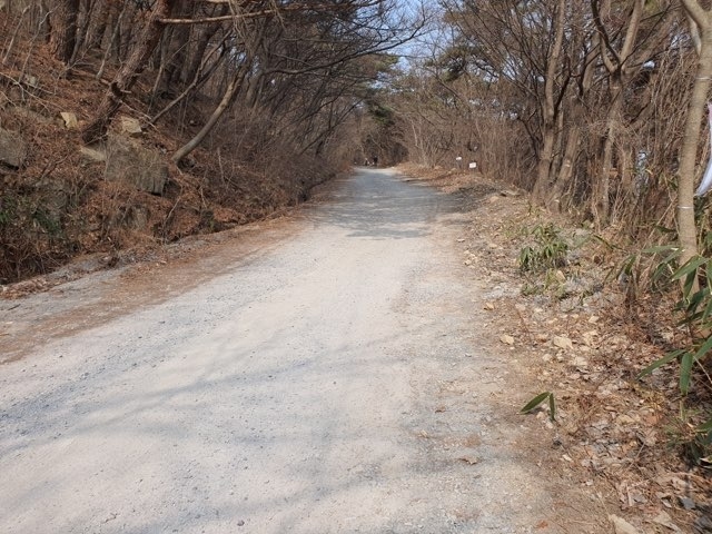 광주시가 무등산 정상 개방을 앞두고 탐방로로 이용되는 군사도로를 정비하는 사업을 추진한다. 사진은 원효사~장불재 구간 군사도로 모습. 무등산국립공원 사무소 제공