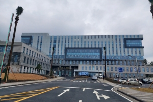 휴대전화 바꾸고 6개월 육지로 도피생활… 타운하우스 전세 22억 등친 50대