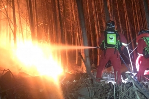 합천 산불 확산에 ‘대응 3단계’ 발령… 주민 200여명 긴급 대피