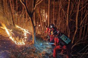 합천 산불 축구장 230개 면적 태우고 주불 진화