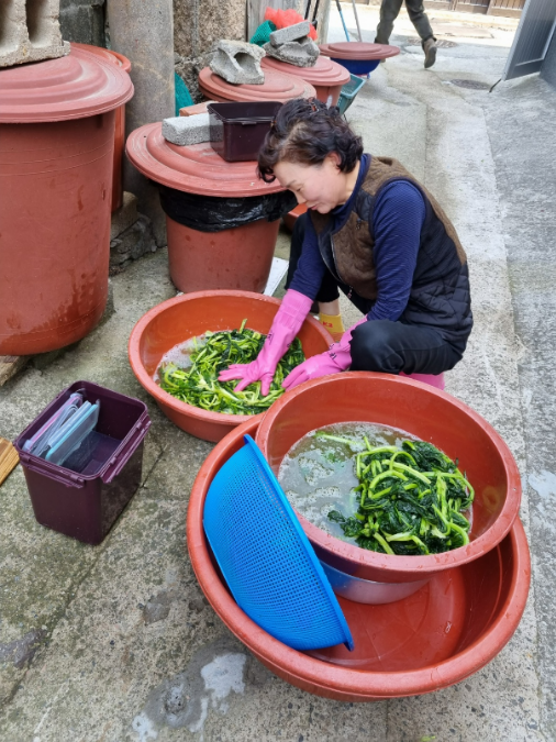 지난 9일 전남 완도 노화도에서 만난 주민 김경미씨가 채소를 헹구고 있는 모습. 김씨는 “채소 씻은 물도 함부로 버리지 않고 화장실 청소에 쓴다”고 설명했다.