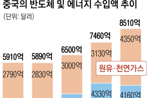 추격자서 선도자로… 中기업, 美 압박에도 2차전지 세계시장 지배[글로벌 인사이트]