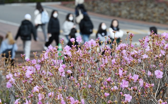 14일 봄기운이 만연한 서대문구 이화여자대학교  교정을 학생들이 거닐고 있다.2023.3.14안주영 전문기자