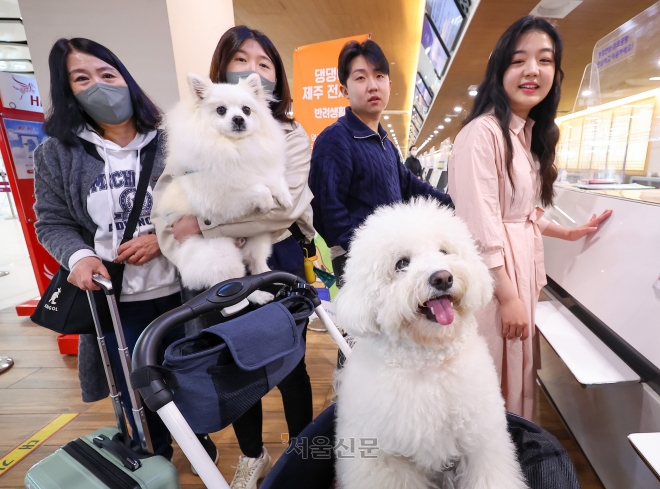 반려동물와 함께 제주로 ‘댕댕이 제주 전세기 상