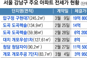 물량 앞에 장사 없네…강남 반값전세 속출