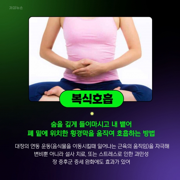 가지뉴스