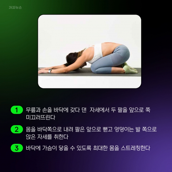 가지뉴스