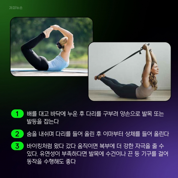 가지뉴스