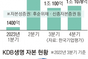 보험사 콜옵션 몰린 2분기…또 고개드는 자금경색 공포