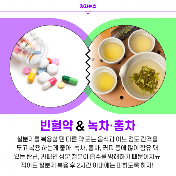 가지뉴스