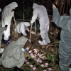 계속되는 동물학대…개 1200마리 ‘아사’ 이어 육견농장서 ‘뼈무덤’ 발견