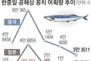 온난화에… 한중일 밥상서 ‘金치’된 꽁치