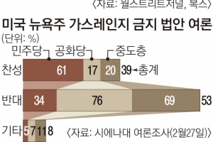 뉴욕서 가스레인지 퇴출된다… “환경에 도움” vs “서민은 부담”