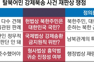 탈북민 지위·귀순 판단 어디까지?… ‘강제북송’ 새달 14일부터 법정공방