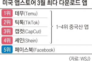 미국 최고 인기 앱 1~4위 중국산…10억 네티즌 ‘경주마 전략’으로 성공