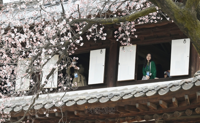 28일 오전 서울 덕수궁에서 열린 ‘석어당 살구꽃으로 덕수궁 봄을 맞다’ 행사 참가자들이 석어당 내부에서 만개한 살구꽃을 바라보고 있다.     덕수궁은 궁궐에서 보기 드문 2층 목조 건물인 석어당 전각에서 궁궐을 내려다보고, 중화전, 함녕전 등 주요 전각을 관람할 수 있는 ‘석어당 살구꽃으로 덕수궁 봄을 맞다’ 프로그램을 오는 5일까지 진행한다. 2023.3.28  안주영 전문기자