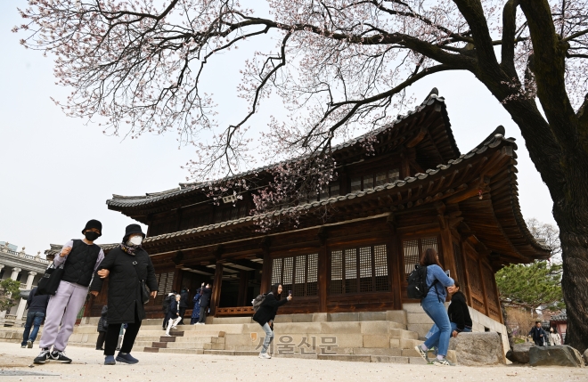 28일 오전 서울 덕수궁을 찾은  관광객 들이 살구꽃이 핀 궁궐을 거닐며 봄을 만끽하고 있다. 2023.3.28  안주영 전문기자