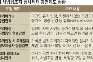 한국형 플리바게닝 우려 넘고 제도 될까