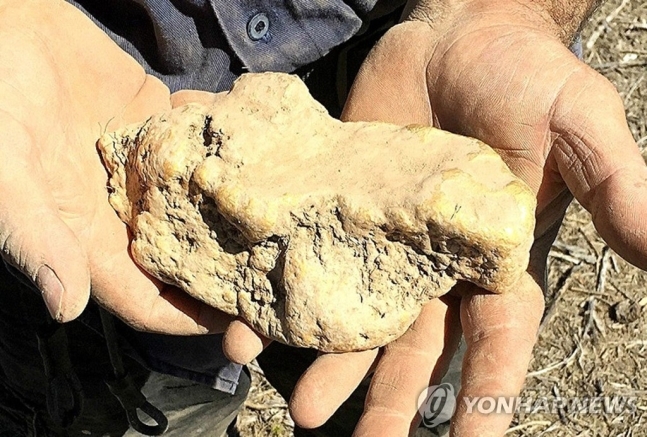 호주 빅토리아주 골든트라이앵글 지역에서 발견된 금덩어리. 본 기사와는 관계없음. EPA 연합뉴스 자료사진