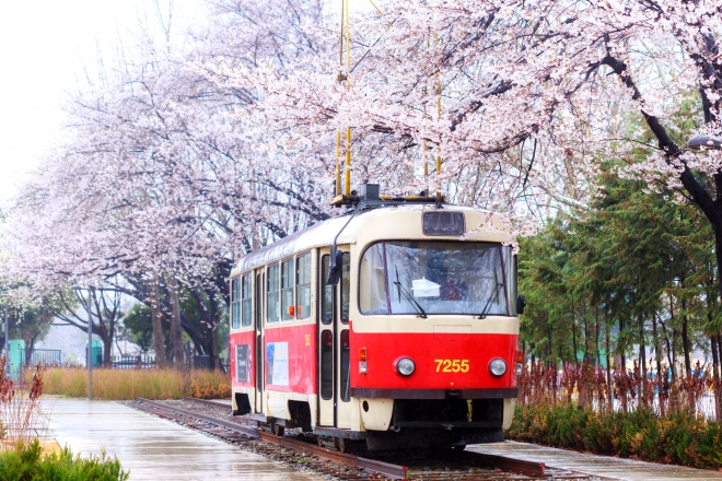 경춘선 숲길 서울시 제공