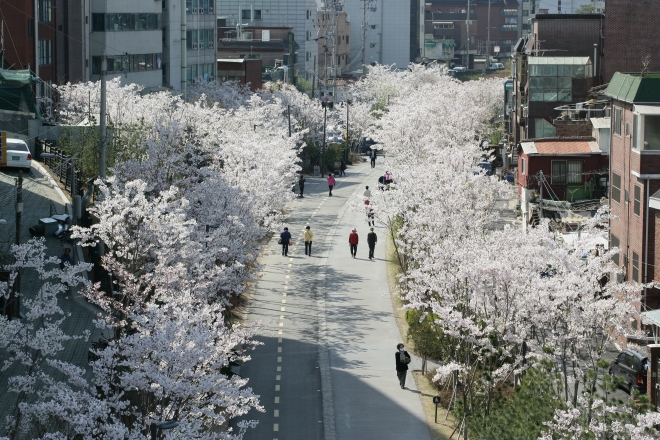 마포구 경의선 숲길 서울시 제공