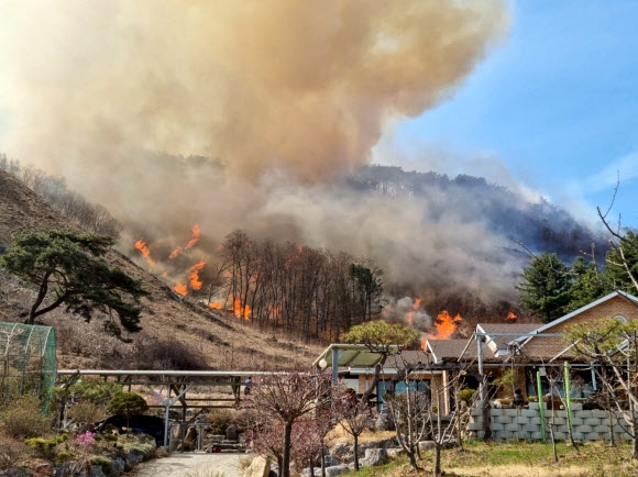 30일 충북 제천시 봉양읍 명도리 봉화산에서 발생한 불이 강풍을 타고 확산하면서 민가를 위협하고 있다. 2023.3.30 독자 제공 연합뉴스