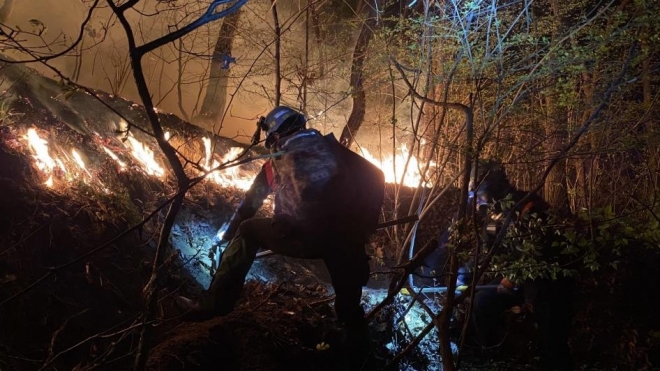 2일 경북 군위에서 발생한 산불을 진화하는 산림 당국