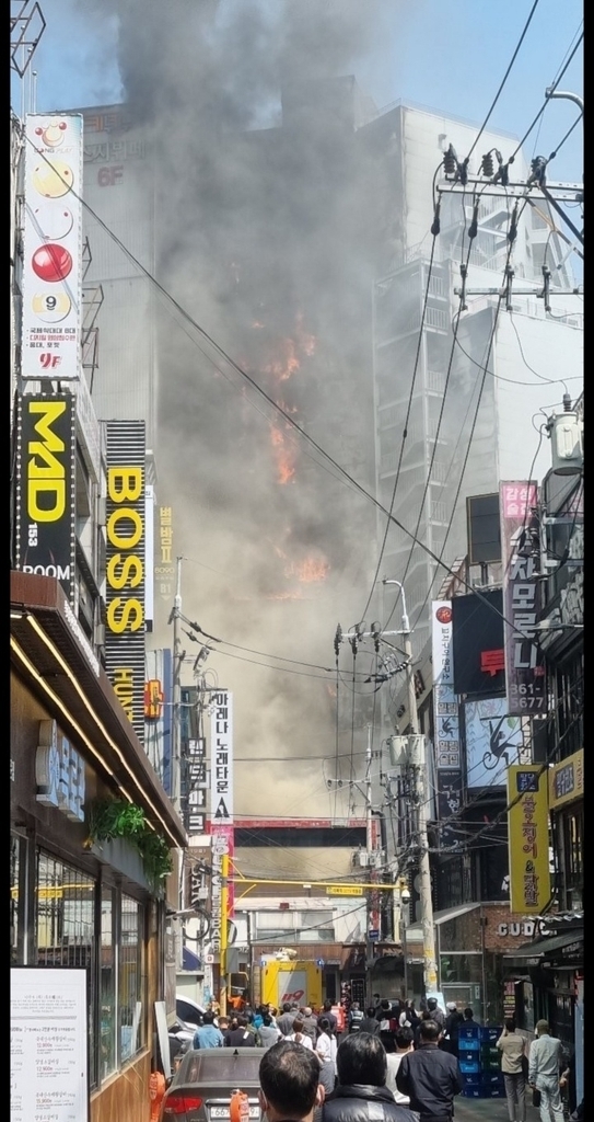 연합뉴스 독자 제공