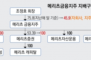 메리츠금융지주 지배구조 개편 완성… 시너지 얻고 도약할까