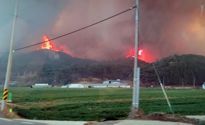 화염 일어난 함평 산불