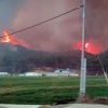 함평·순천서도 산불 확산…대응 2단계