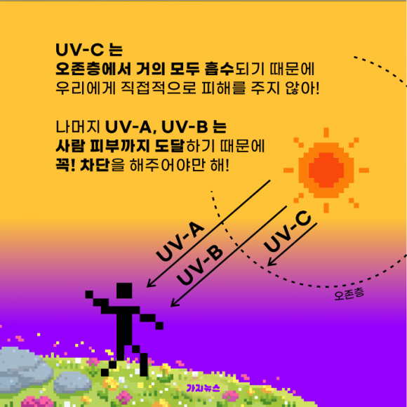 가지뉴스