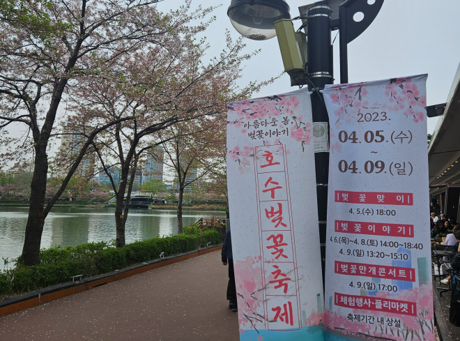 벚꽃축제를 하루 앞둔 4일 서울 송파구 석촌호수에 있는 벚꽃나무의 벚꽃들이 바닥과 호수에 떨어져 있다. 이날 저녁 비소식을 앞두고 급히 석촌호수를 찾은 시민들은 벚꽃이 남은 나무를 찾아다니며 줄을 서 사진을 찍었다. 곽소영 기자