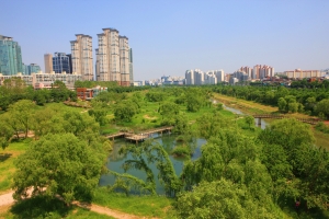 나무 심고 콘크리트 벗고… 한강, 확 바뀐다