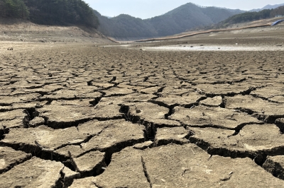 금세기 말 한반도 극심한 가뭄으로 사막화 진행될 수도